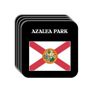  US State Flag   AZALEA PARK, Florida (FL) Set of 4 Mini 