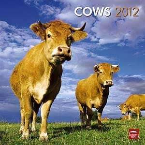  2012 Cows Calendar