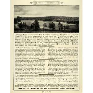 1915 Ad Mountain Lake Real Estate Citrus Orchards FL 