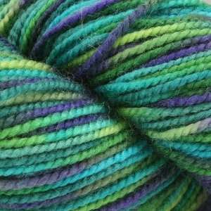  Plymouth Yarn Happy Feet [Green/blue]: Arts, Crafts 