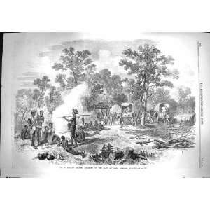  1869 Travel South Africa Camp Daka Zambesi Valley
