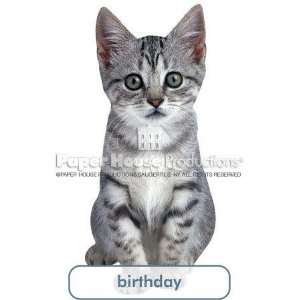   Kitten Birthday Card Paper House Productions: Health & Personal Care