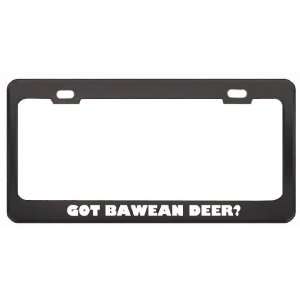 Got Bawean Deer? Animals Pets Black Metal License Plate Frame Holder 