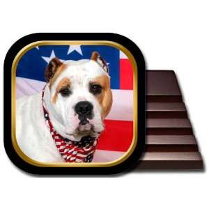 American Bulldog Coaster Set
