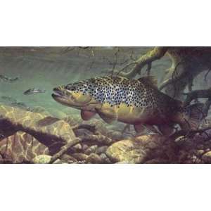  Mark Susinno   On Target   Brown Trout