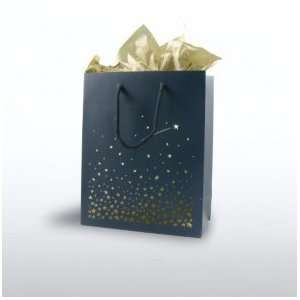  Gift Bag   Medium (8 x 4 x 10)
