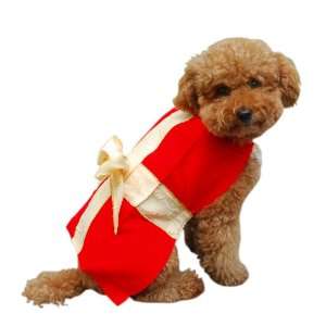    Anit Accessories Gift Box Dog Costume, 12 Inch
