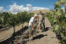 feather winemaker and longtime napa valley vintner randy dunn has 