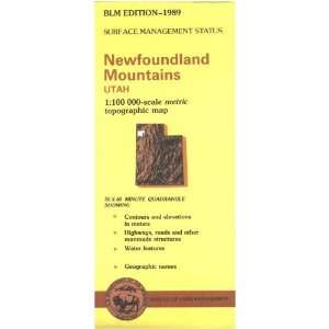  Map Newfoundland Mountains   Surface Management 