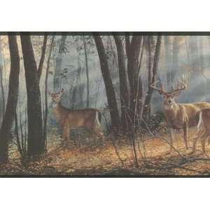  Wild Deer Wallpaper Border in York Border Gallery