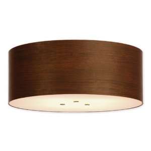  Roble 26in. Ceiling Light