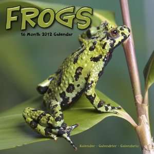 Frogs 2012 Wall Calendar #30401 12 Avonside Publishing 9781849811866 