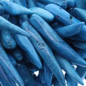 Blue Coral  Chilly Plain   2mm Diameter, Sold by 16 Inch Strand with 