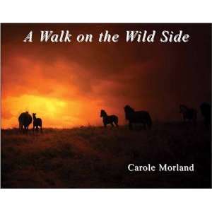  A Walk on the Wild Side (9781904524588): Carole Morland 