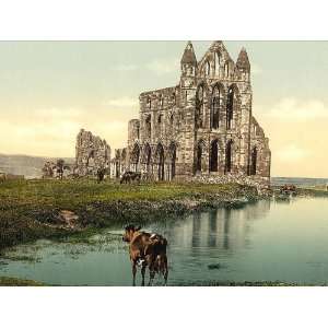     Whitby the abbey II. Yorkshire England 24 X 18.5 