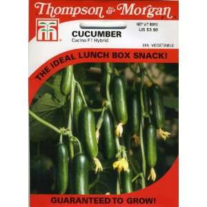  Thompson & Morgan 355 Cucumber Cucino F1 Hybrid Seed 