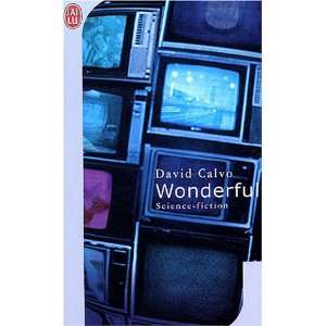    Wonderful (French Edition) (9782290325551) David Calvo Books