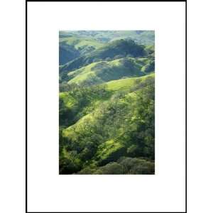  Spring Green Hills, Limited Edition Photograph, Home 