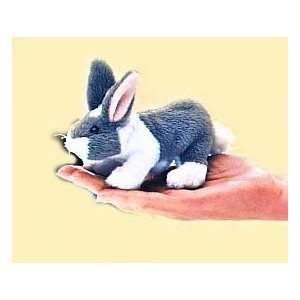 Bunny Rabbit Finger Puppet : Toys & Games : 