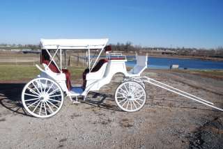   drawn vis a vis wedding carriage by Robert Carriages + brakes  