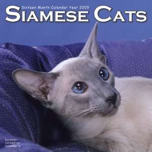  2009 Cats   Siamese Wall Calendar (9781846625336 