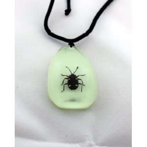   Beetle Pendant for Halloween Costumes  Toys & Games  
