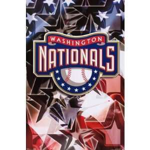   Washington Nationals Logo POSTER MLB Jose Guillen RARE