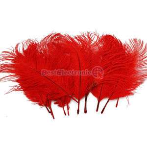 NEW 10pcs 10 12 inch Red Ostrich Feathers optional colors decorations 