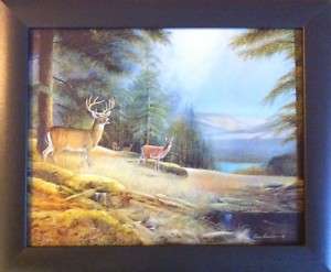 Framed Deer Buck Prints Woods Hunting Theme Posters  
