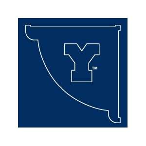    BYU Cougars Y Logo Mailbox and Post (Blue)