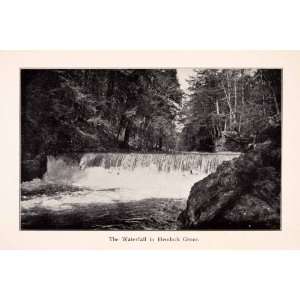 1910 Halftone Print Waterfall Hemlock Grove New York Forest Woods 