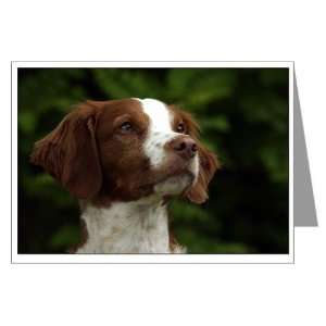  Brittany Greeting Cards Pets Greeting Cards Pk of 10 by 