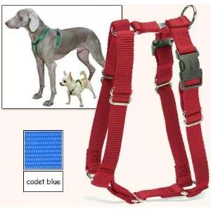Fit Dog Harness, 5 Way Adjustability for a Perfect Fit (Cadet Blue, X 