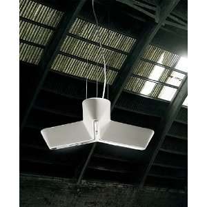 Cross Over pendant light   110   125V (for use in the U.S., Canada etc 