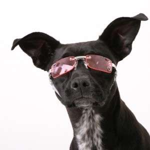 Doggles K9 Optix Dog Sunglasses for Dogs Shades UV Lens Eye Protection 