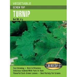  Turnip Seven Top Seeds Patio, Lawn & Garden