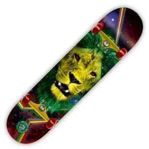  Speed Demons Lion Complete Skateboard (7.70) Sports 