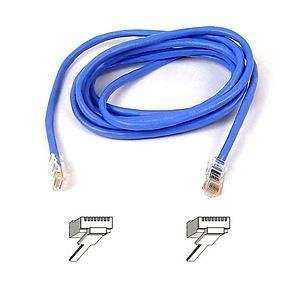 , Belkin Cat. 5E UTP Patch Cable (Catalog Category: Accessories 