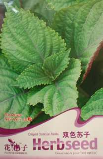 D023 Green Perilla Japanese Korea Shiso frutescens Seed  