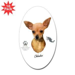   Oval) (10 Pack) Chihuahua from Toy Group and Mexico 