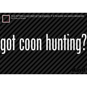  (2x) Got Coon Hunting   Sticker   Decal   Die Cut 