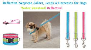 REFLECTIVE NEOPRENE Collars, Leads & Harnesses for Dogs  