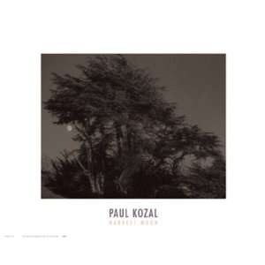 Paul Kozal   Harvest Moon Size 16x20 by Paul Kozal 20x16  