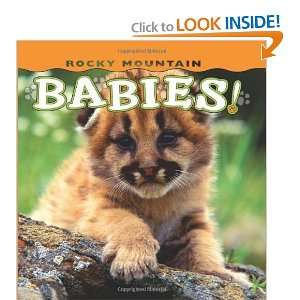 Rocky Mountain Babies (Babies (Farcountry Press)) [Board 