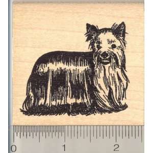  Yorkshire Terrier, Yorkie Dog Rubber Stamp: Arts, Crafts 