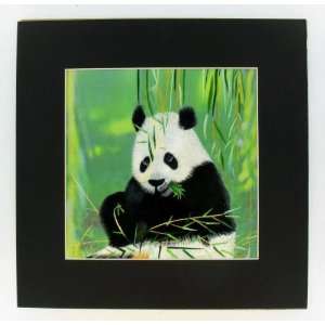    Embroidery Panda Bear Wall Art Hand Made Arts, Crafts & Sewing