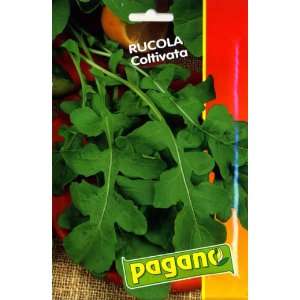  Pagano 1420 Arugula (Rucola) Cultivated Seed Packet Patio 