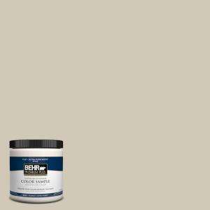   Plus 8 oz. Sandstone Cliff Interior/Exterior Paint Tester # 750C 3