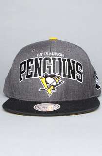 Mitchell & Ness The Pittsburgh Penguins Arch Logo G2 Snapback Hat in 