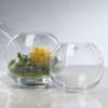 Leonardo Kugel Vase 17cm Boccia Glas Vase  Küche 